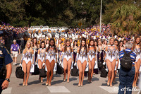 Golden Band from Tigerland