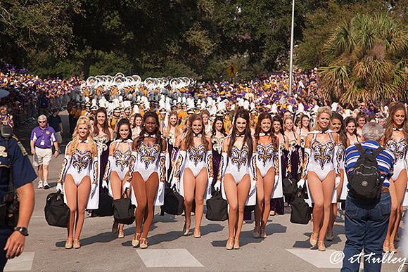 Golden Band from Tigerland