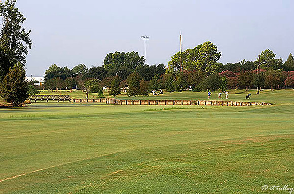 Oakwing GC #7
