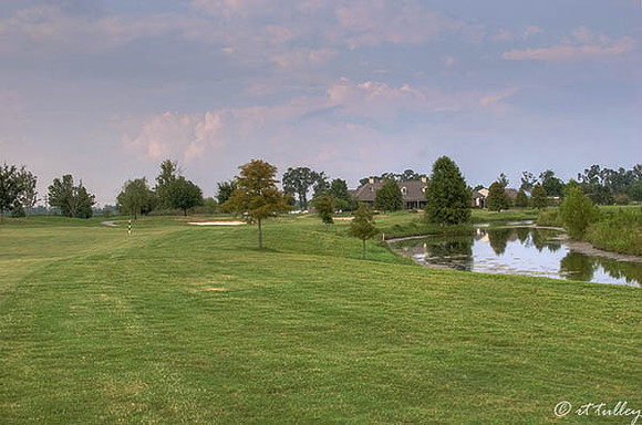 the Island #18