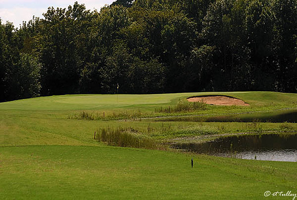 Black Bear GC #4