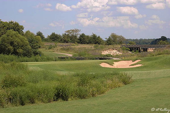 Black Bear GC #6