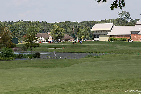 the Wetlands #9