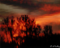 Water Sunset Silhoette