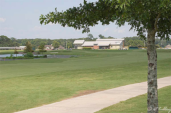 the Wetlands #9