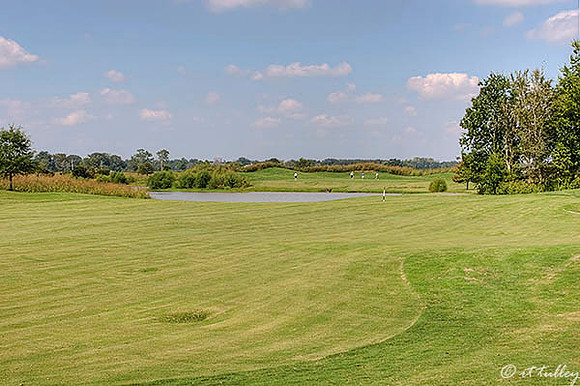 Olde Oaks Meadow #8