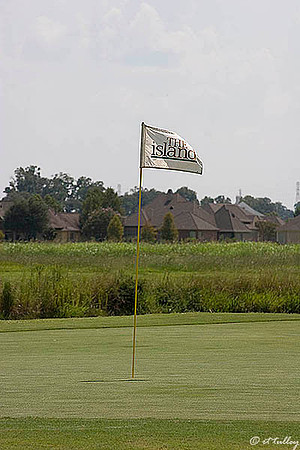 the Island #18