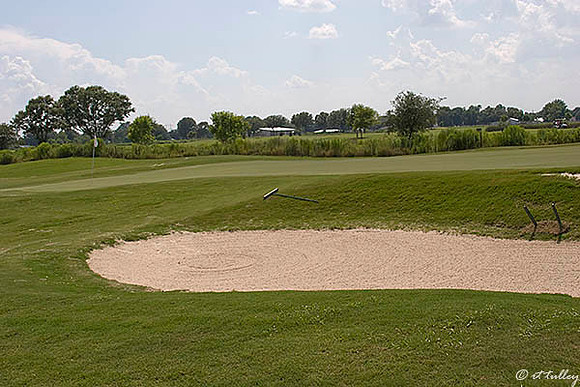 the Wetlands #8