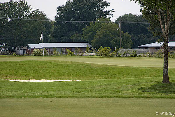 the Wetlands #13