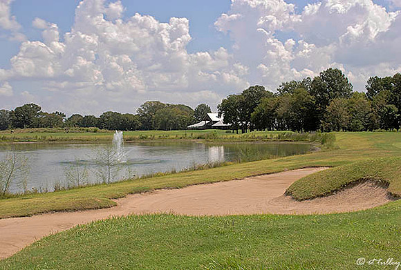 Black Bear GC #1