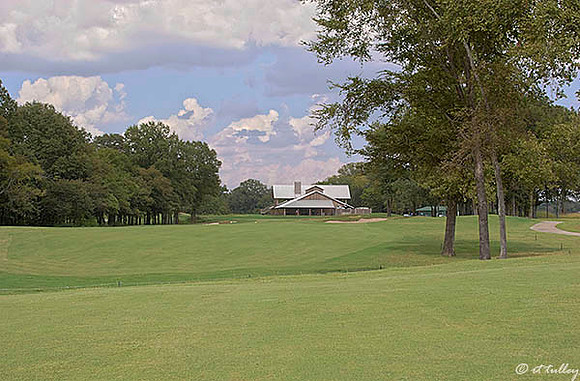 Black Bear GC #9