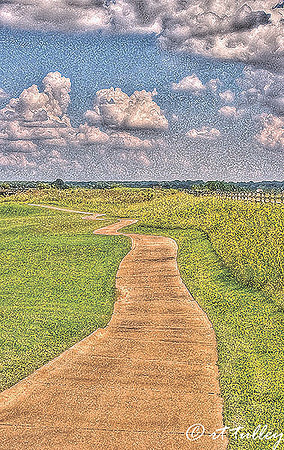 Black Bear GC Cart Path Along #6