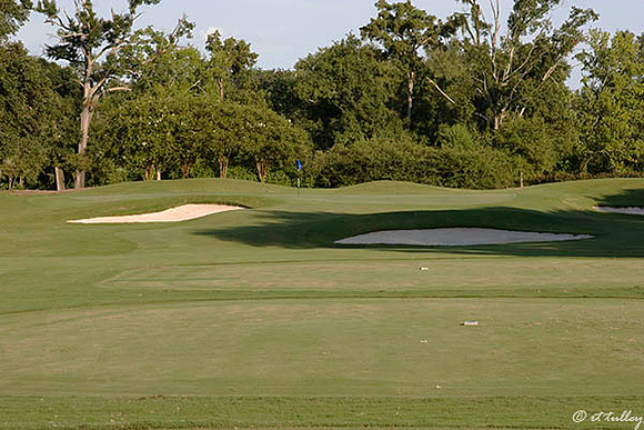 Audubon GC #13