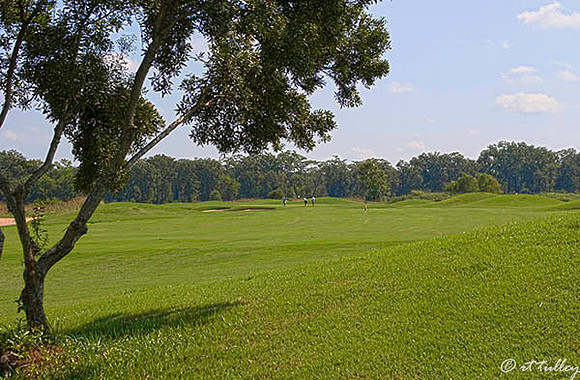 Olde Oaks Meadow #6