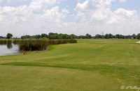 the Wetlands #3