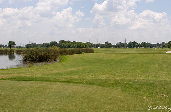 the Wetlands #3