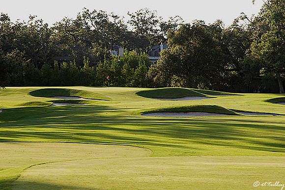 Audubon GC #14