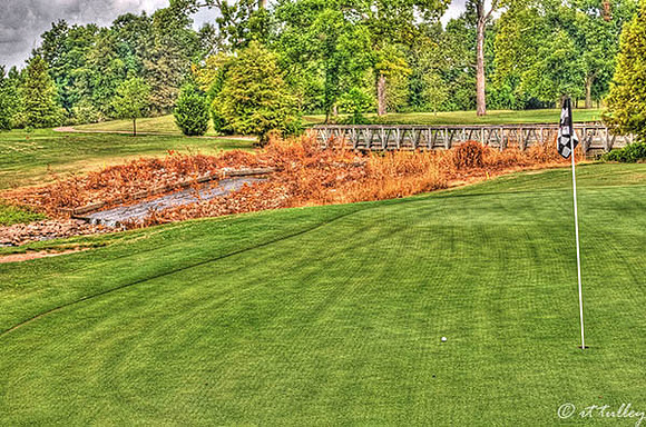 Oakwing GC #17 Artistic