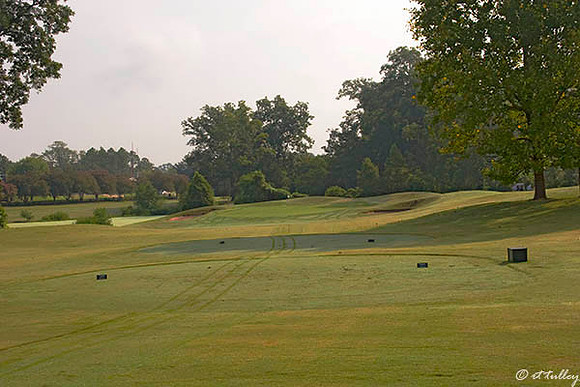 Oakwing GC #8