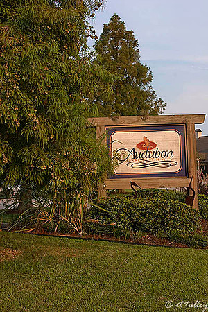 the Island Audubon Trail Sign
