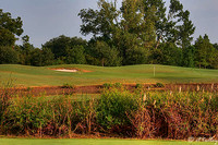 Oakwing GC #3
