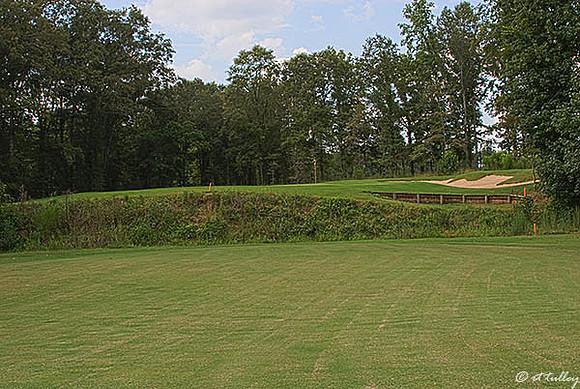 Black Bear GC #10