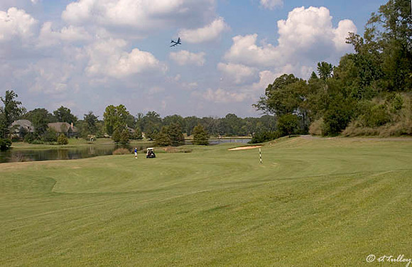 Olde Oaks Oak #2
