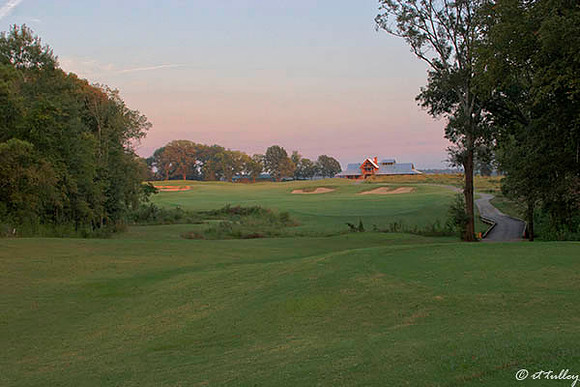 Black Bear GC #18