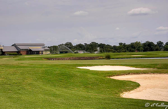 the Wetlands #18
