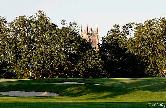 Audubon GC #16