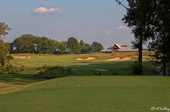 Black Bear GC #18