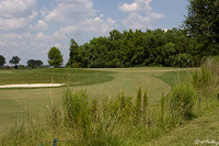 the Wetlands #4