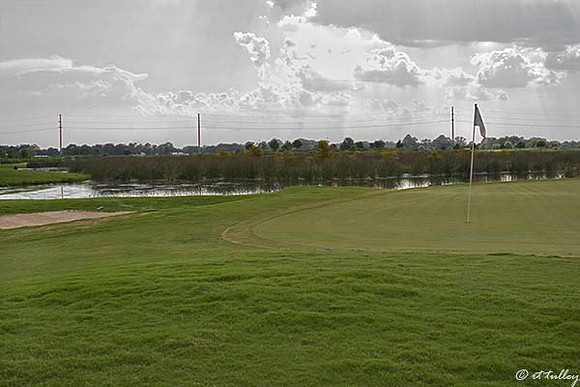 the Wetlands #17