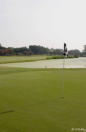 Oakwing GC #7