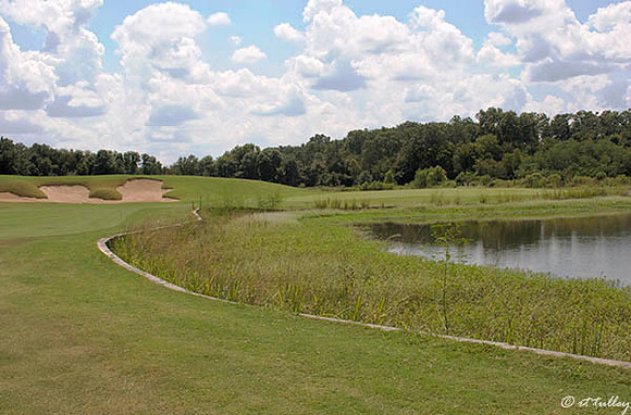 Black Bear GC #3