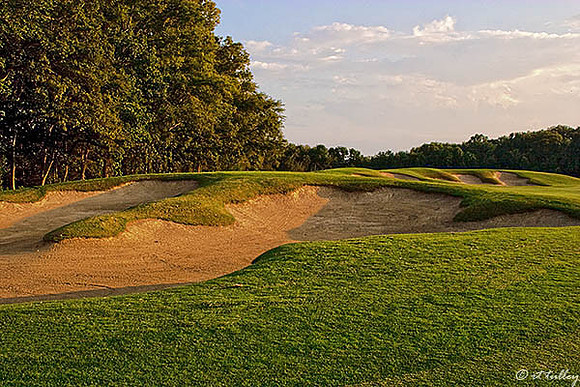 Black Bear GC #3