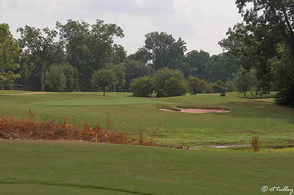 Oakwing GC #17