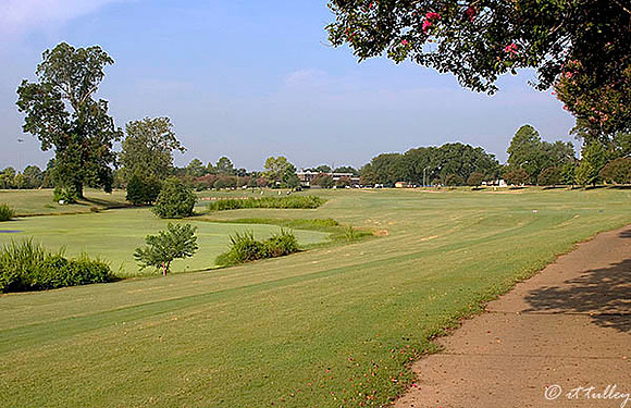 Oakwing GC #7