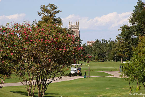 Audubon GC #6