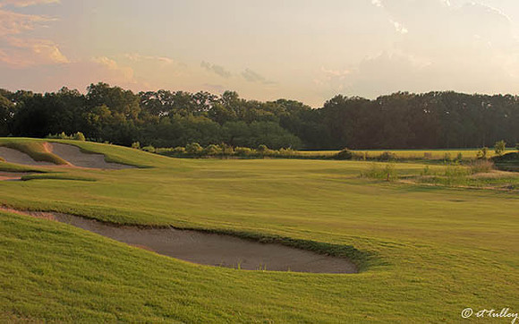 Black Bear GC #3
