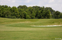 the Wetlands #3