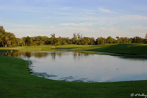 Audubon GC #17