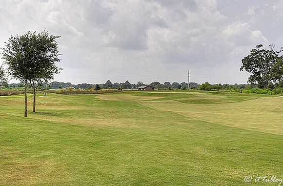 the Wetlands #10