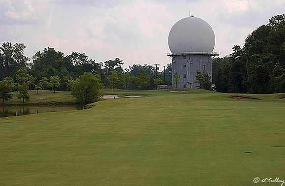Oakwing GC #16
