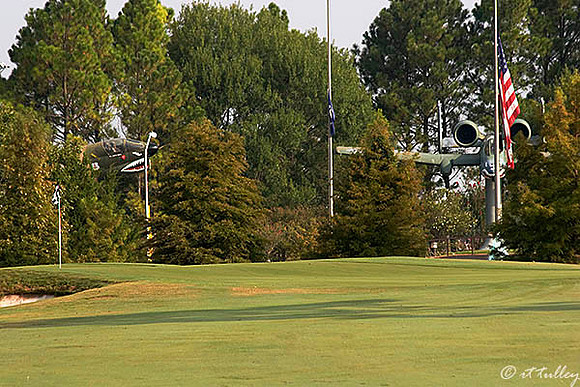 Oakwing GC #6