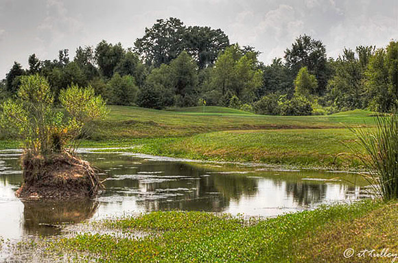 Olde Oaks Cypress #7