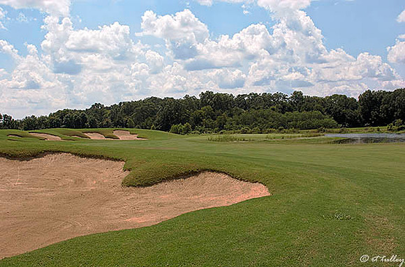 Black Bear GC #3