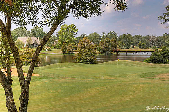 Olde Oaks Oak #2
