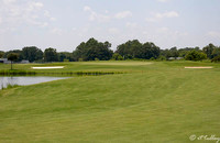 the Wetlands #2