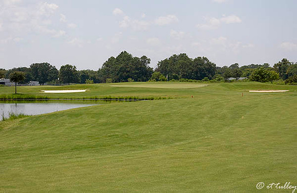 the Wetlands #2